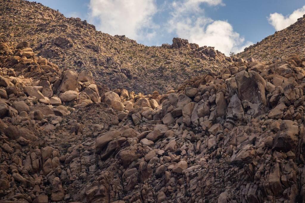 Panoramic Heaven - Luxury Designer Property W Spa Joshua Tree Ngoại thất bức ảnh