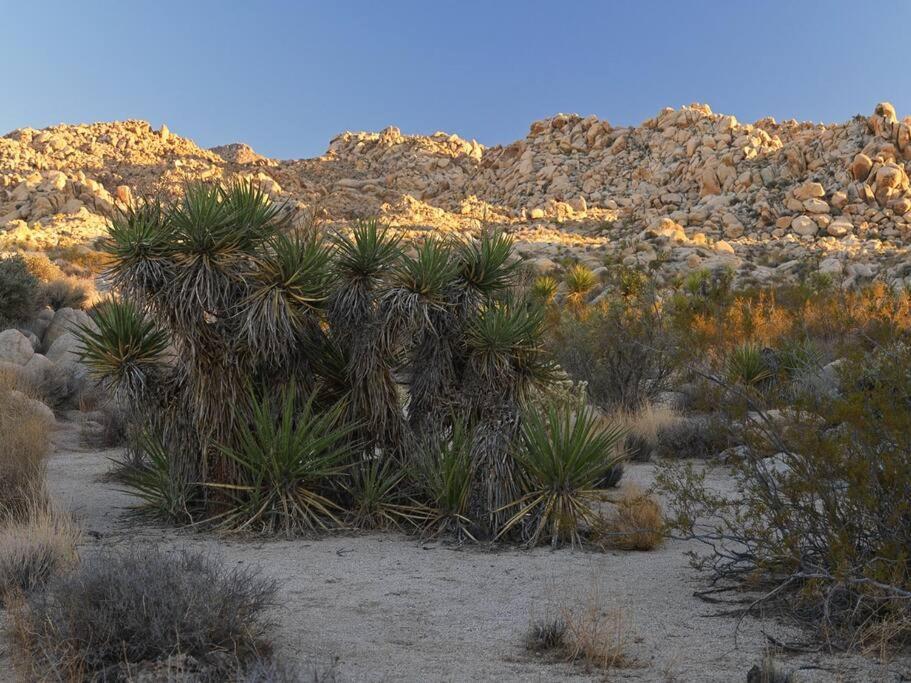 Panoramic Heaven - Luxury Designer Property W Spa Joshua Tree Ngoại thất bức ảnh