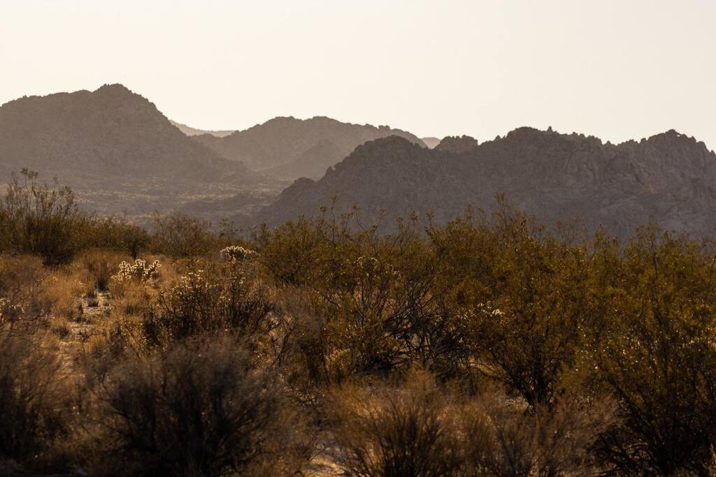 Panoramic Heaven - Luxury Designer Property W Spa Joshua Tree Ngoại thất bức ảnh