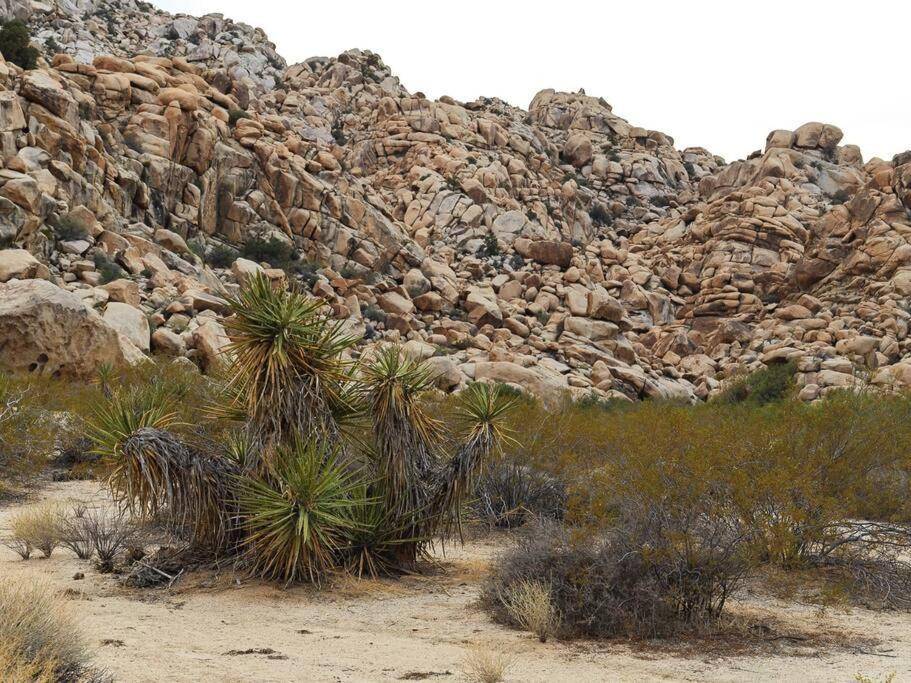 Panoramic Heaven - Luxury Designer Property W Spa Joshua Tree Ngoại thất bức ảnh
